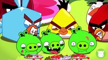 Angry Birds Toon: Red Bird Terrences Birthday Party (Angry Birds Fan Made Animation)