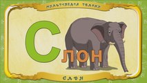 Мультіпедія тварин. Літера С - Слон