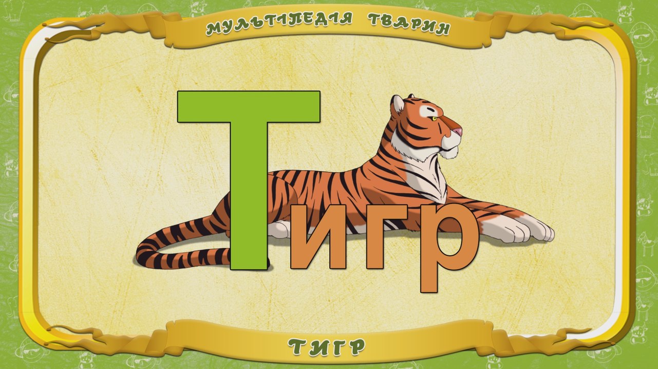 Мультіпедія тварин. Літера Т - Тигр