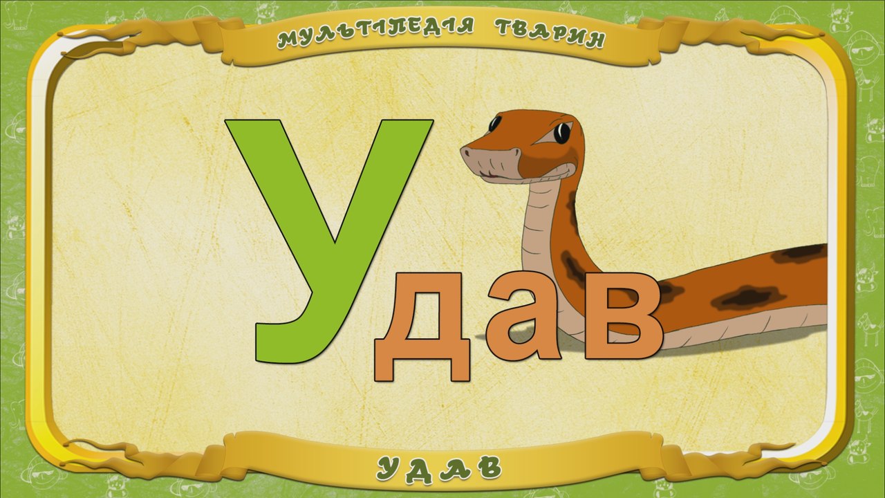Мультіпедія тварин. Літера У - Удав