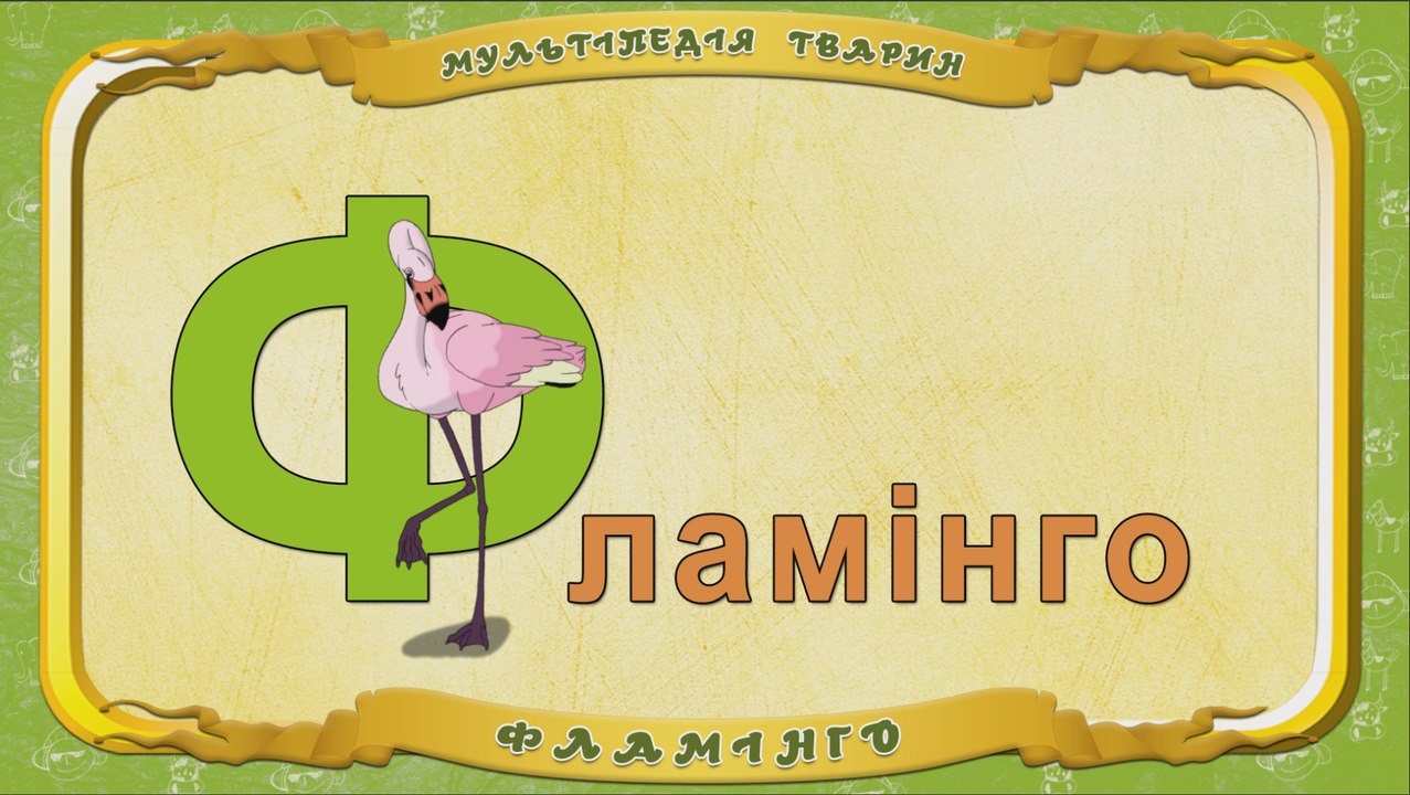 Мультіпедія тварин. Літера Ф - Фламінго
