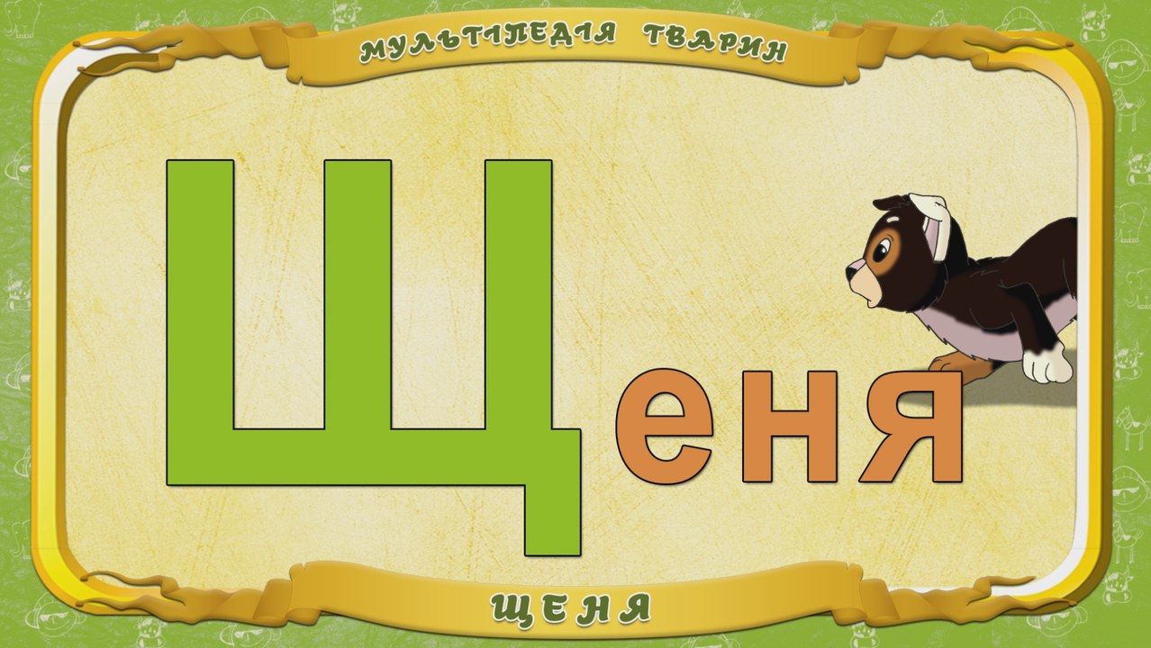 Мультіпедія тварин. Літера Щ - Щеня