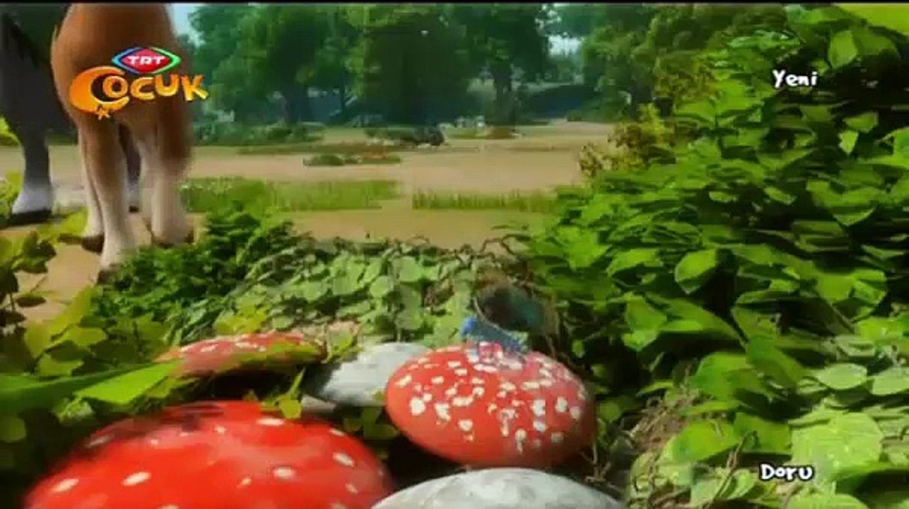 Doru Çizgi Filmi - Cesaret - Dailymotion Video-001