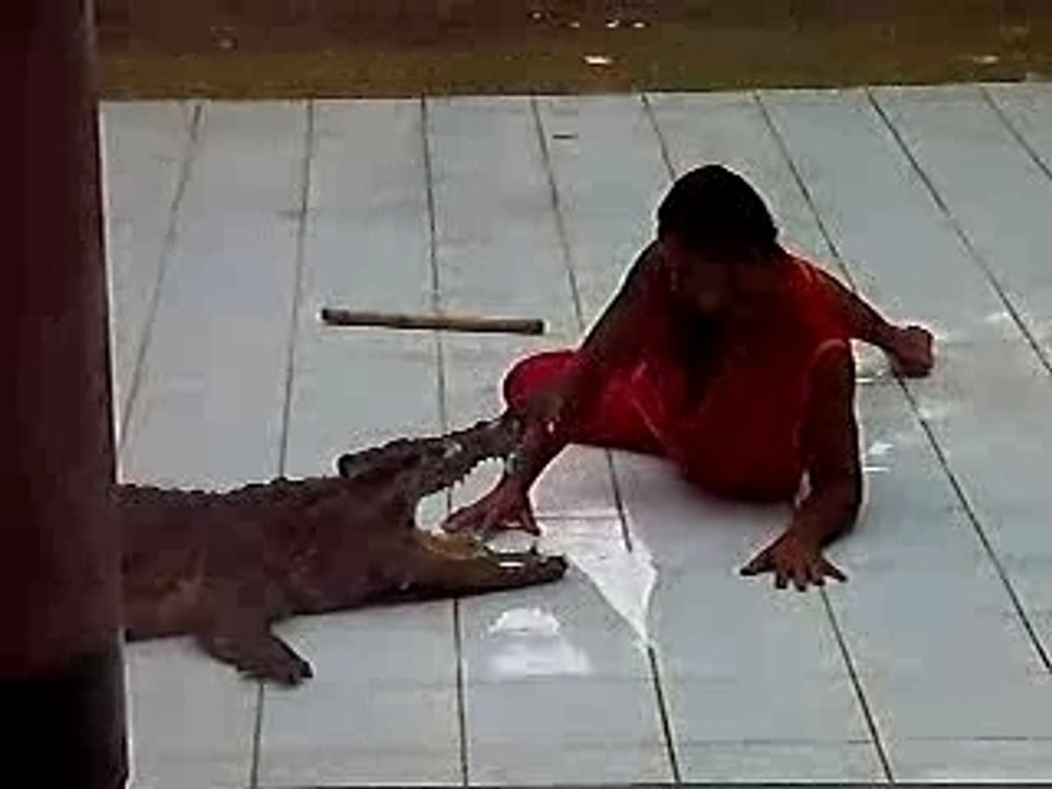 crocodilefarm Koh samui