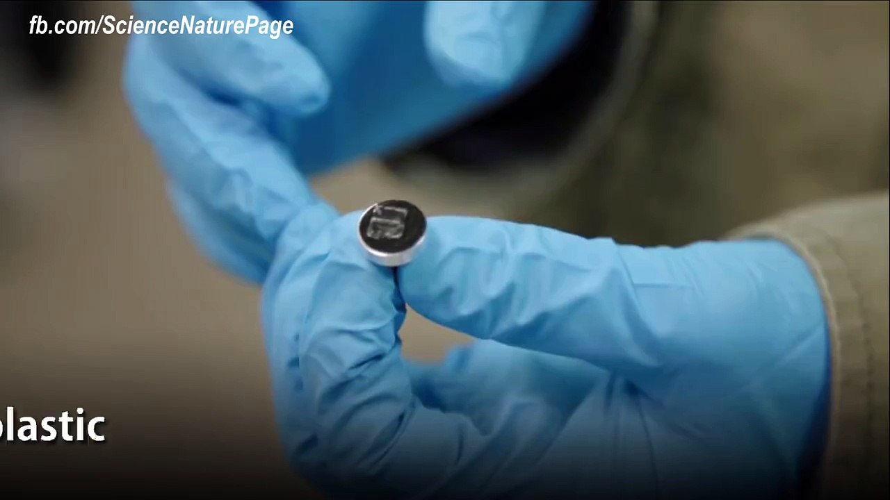 Un implant pourrait permettre aux personnes paralysées  de marcher à nouveau