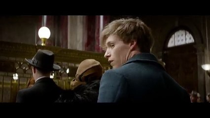 Fantastic Beasts and Where to Find Them - Teaser Trailer [HD]