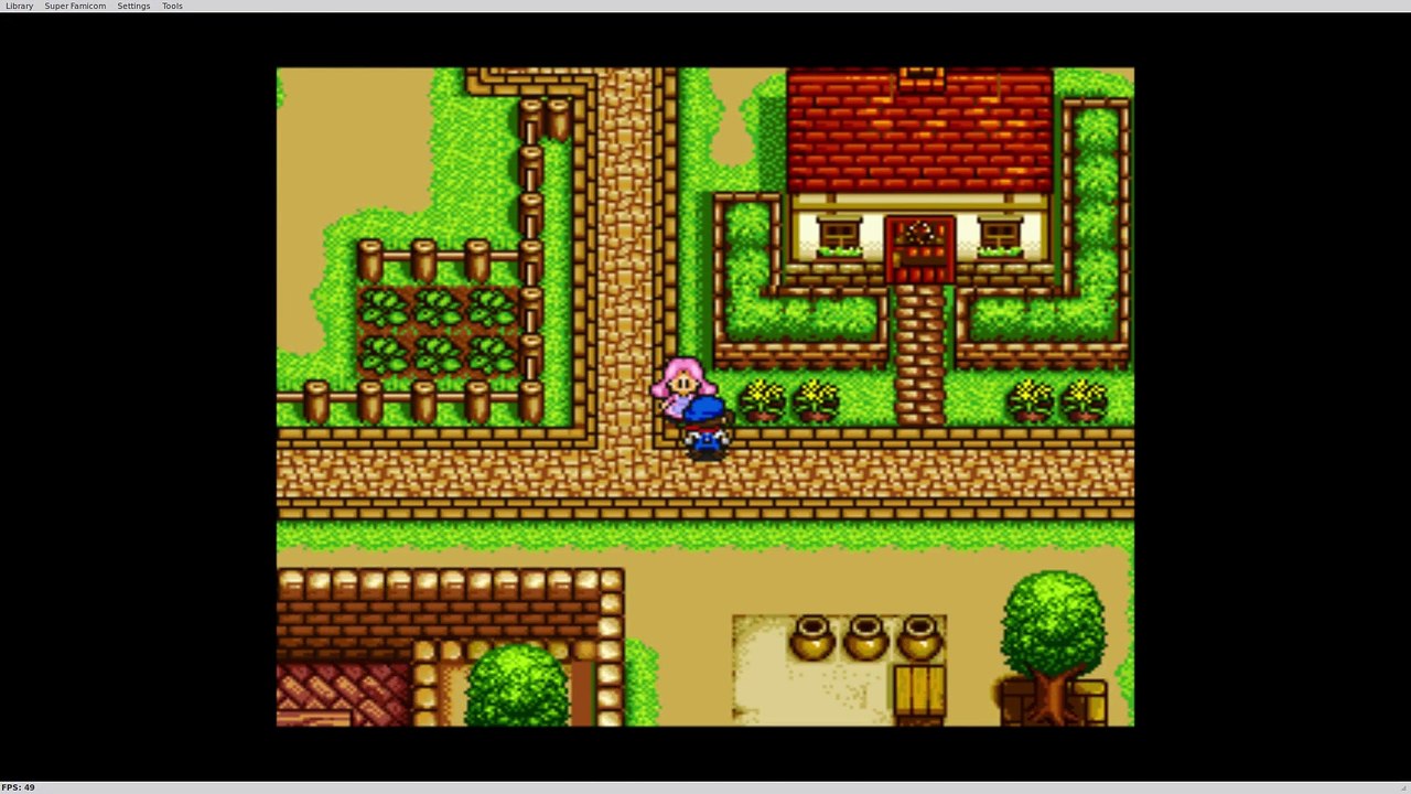 Ich spiele: Harvest Moon #013