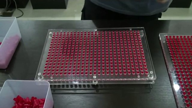 khuôn đóng nang thuốc thủ công, khuôn đóng viên nhộng 400 viên, khuôn đóng viên thực phẩm chức năng