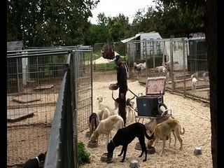 Rüdenfütterung Der Schuh des Manitu