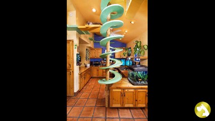 Выбираем кошкин дом