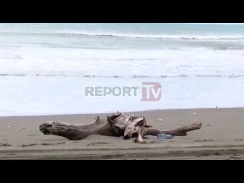 Report TV - Plazhi i Velipojës “pushtohet” nga mbeturinat, rrezikohet sezoni turistik