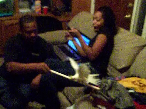 Cockatiel Frightness