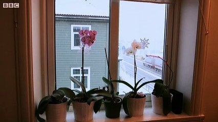 Norway's Barnevernet_ They took our four children… then the baby - Ruth and Marius describe their quest for a family ...