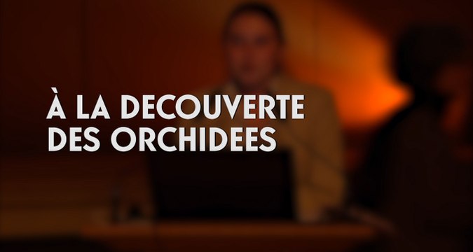 À la découverte des orchidées ( cycle La Botanique au Muséum 5/5)