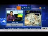 الأحوال الجوية /  أحوال الطقس مع هوارية بن رقطة ليوم الخميس 14 أفريل 2016