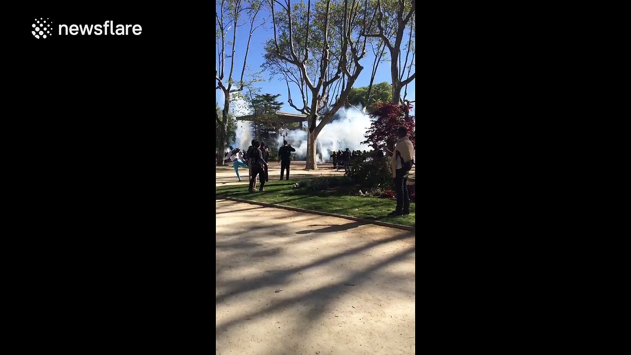 Students flee tear gas in Montpellier, France labour protests