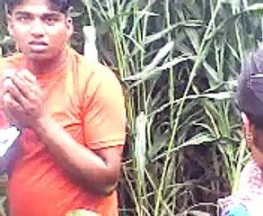 Date caught in fields