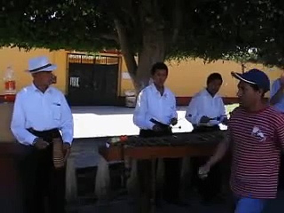 Coatepec, Veracruz Marimbas