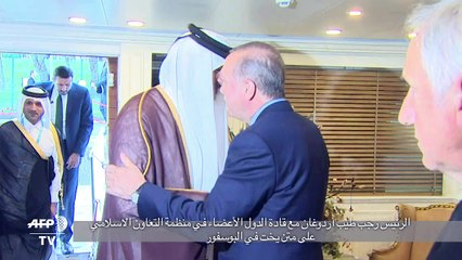 قادة الدول الاعضاء في منظمة التعاون الاسلامي  في اسطنبول