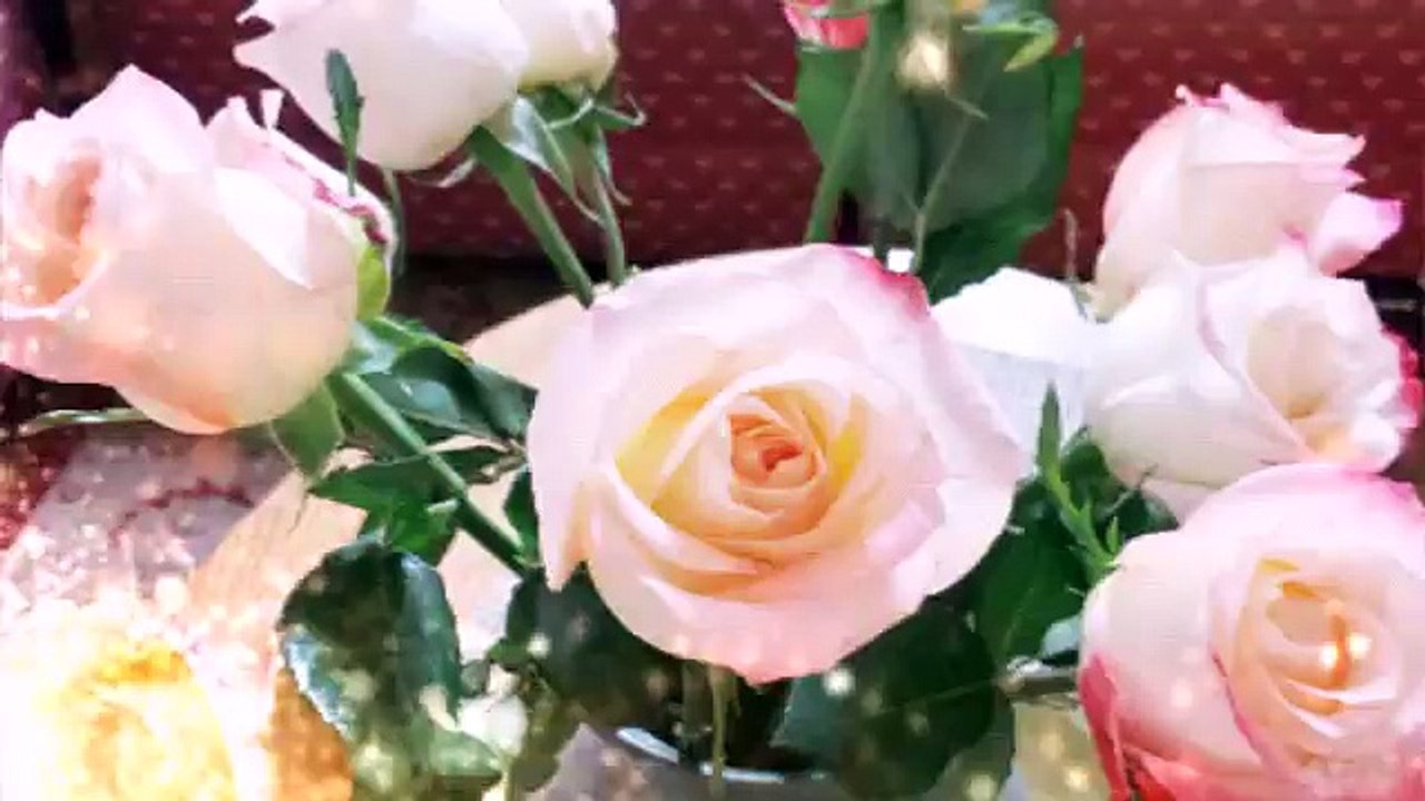 ROSAS de Ecuador