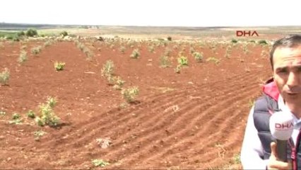 Télécharger la video: Kilis Koalisyon Uçakları Işid' İ Vuruyor Ek Anonslar