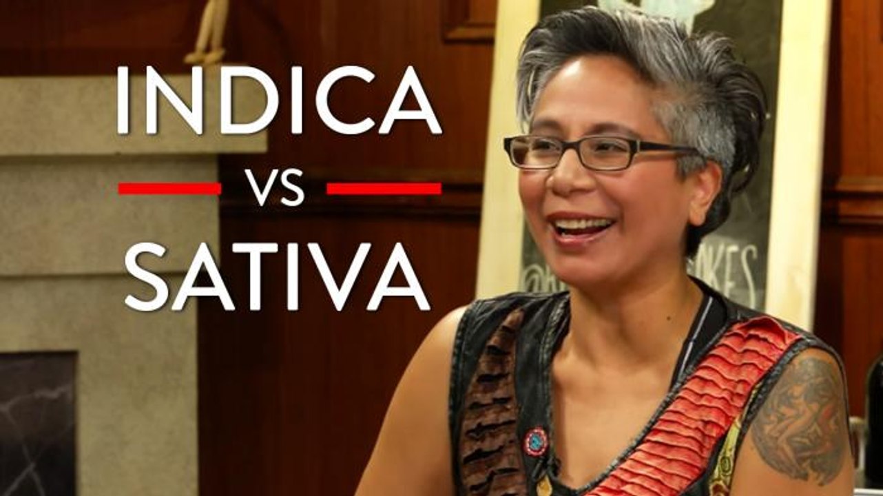 All About Weed: Different Types Of Marijuana (Indica vs Sativa vs CBD)