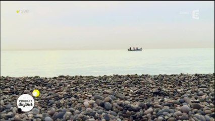 Poutine : une pêche traditionnelle en sursis