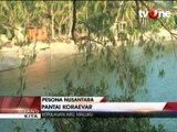 Pesona Pasir Putih dan Jernihnya Air Laut Pantai Koraevar