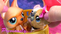 LPS Flashback Mommies Part 53 Littlest Pet Shop Series Video Movie LPS Mom Babies Cookieswirlc