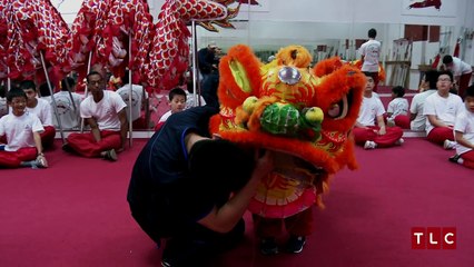 Will Does the Lion Dance | The Little Couple