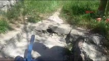 Elazığ Su Borusuna Sıkışan Köpek Yavurusunu İtfaiye Kurtardı