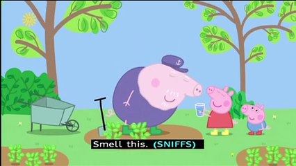 Peppa Pig (Series 4) - Perfume (with subtitles)