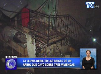 La lluvia debilitó las raíces de un árbol que cayó sobre tres viviendas