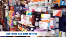 Bachaqueros se las ingenian para vender medicinas en mercado de Maracaibo