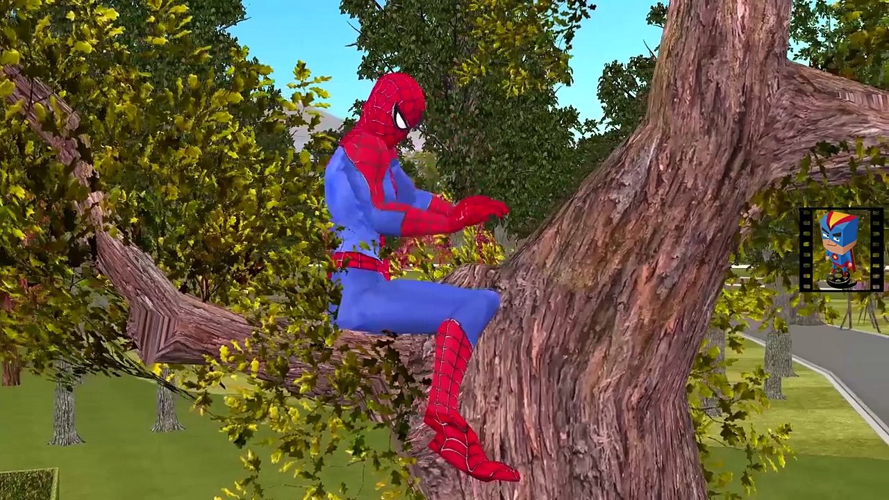 SuperHero Funny Prank | Frozen Elsa Hulk With Dogs | Spiderman Dog Kidnap | Hulk Vs Spiderman