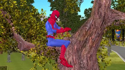 SuperHero Funny Prank | Frozen Elsa Hulk With Dogs | Spiderman Dog Kidnap | Hulk Vs Spiderman