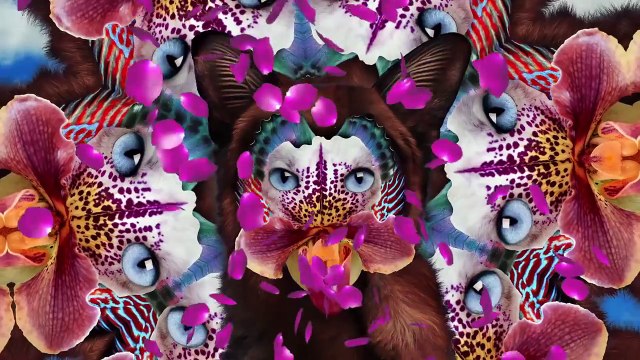 Galantis - No Money (Official Audio)