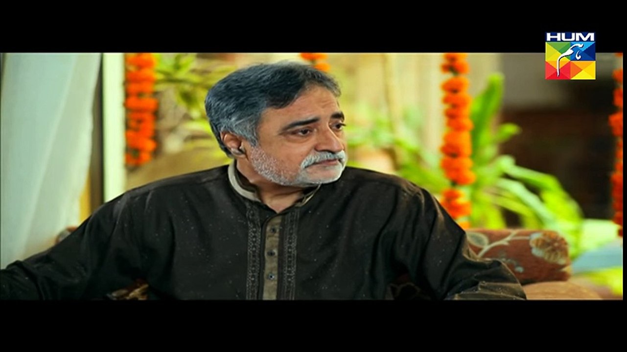 Dil E Beqarar Episode 01 Full HUM TV Drama 13 April 2016