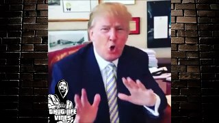 Funny Donald Trump Vine Compilation