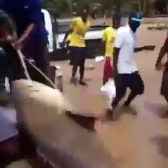 Mới bắt được con cá rô đồng các bác ạ =))Share: Clip Xôn Xao