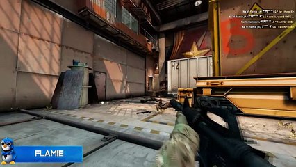 CS GO Top 5 Pro Plays #19