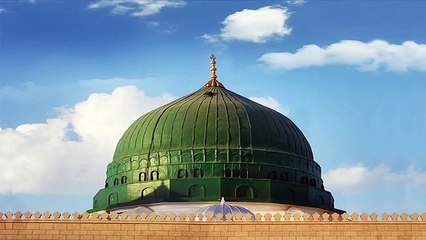 Naat Dangh Hain Sub Dekh Ker