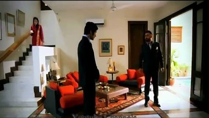 Bakra Eid Speacial Tezabi Totay