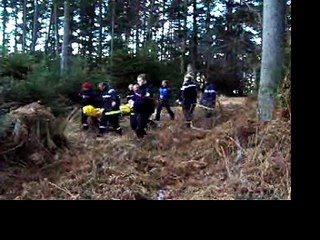 AI's Growing Impact in Tech 🌐