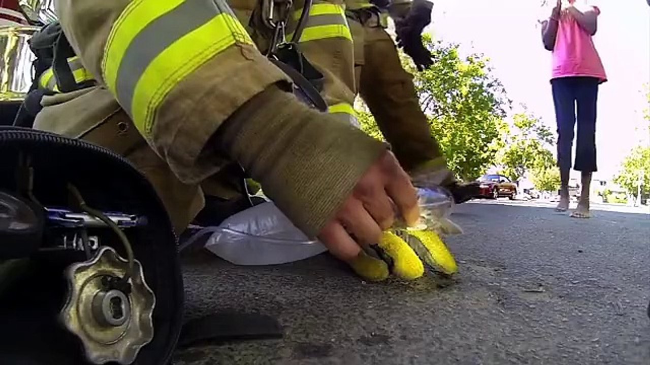 Quand un pompier américain donne tout pour sauver un chaton et le réanimer