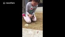 Six-year-old girl rescues ducklings
