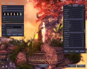 Blade and Soul character creation pretty elf lady