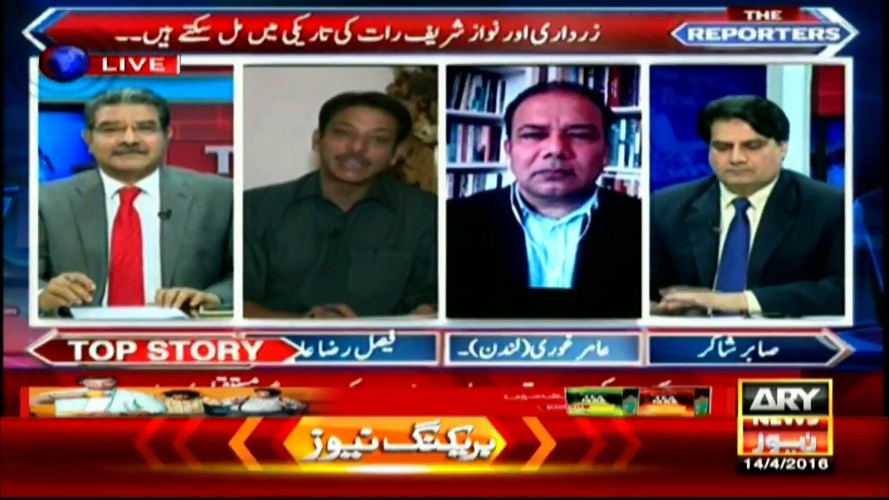 Nawaz and Zardari on the same page regarding Panama Leaks_ Abidi