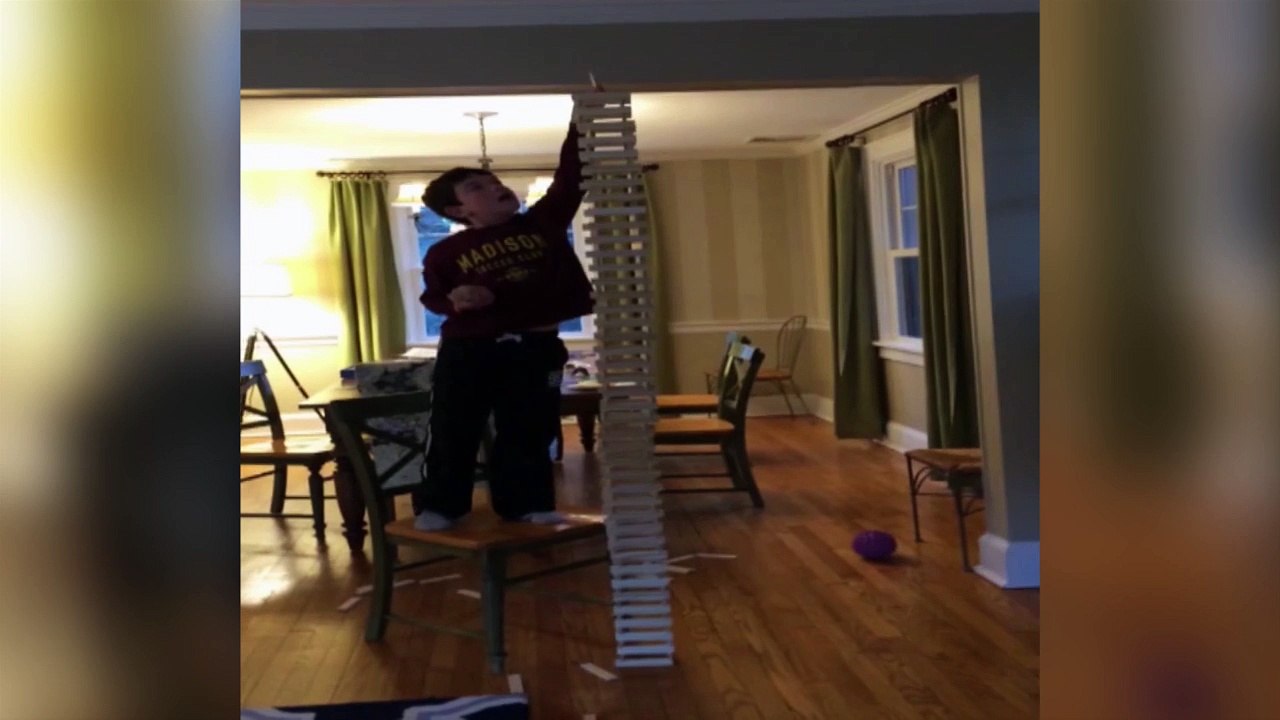 Dog Plays Jenga