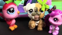 LPS Drive Thru - Mommies Part 33 Littlest Pet Shop Series Movie LPS Mom Babies